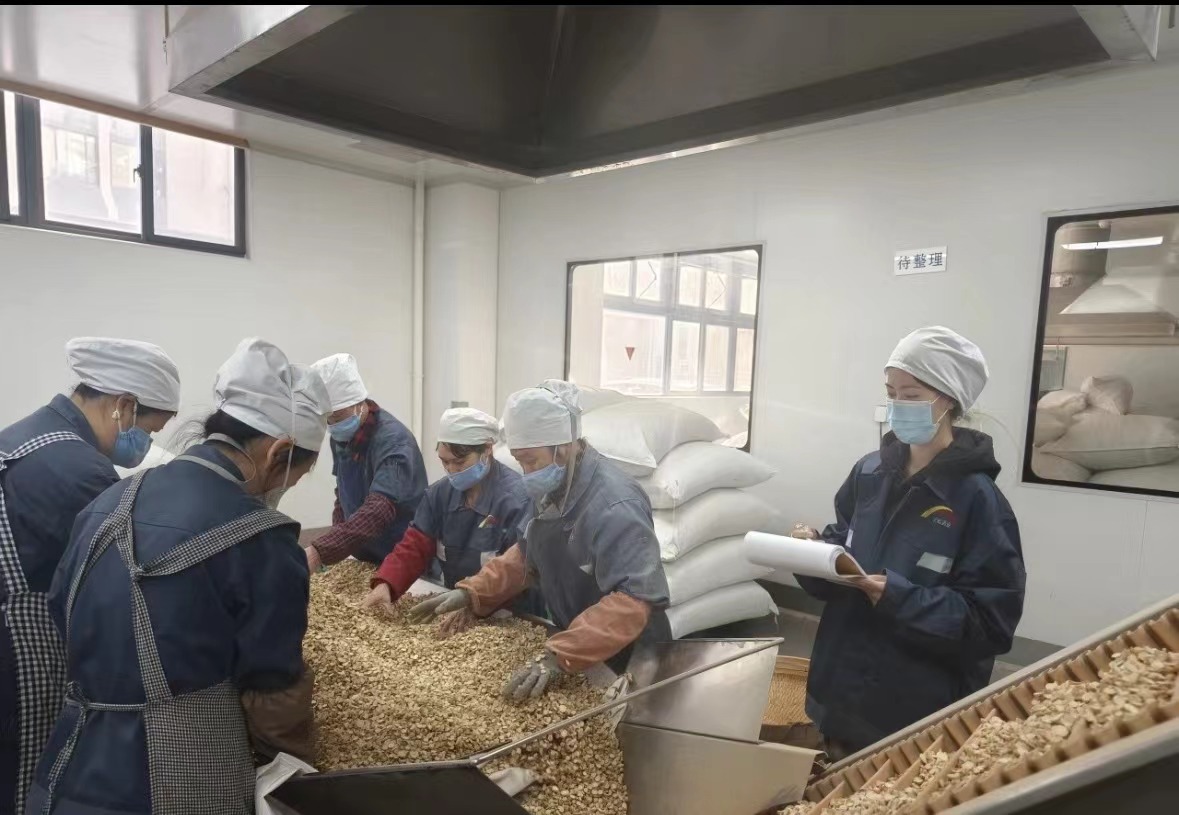 Qingdao Biohoer Biotech Co., Ltd rəsmi olaraq tikintiyə başladı