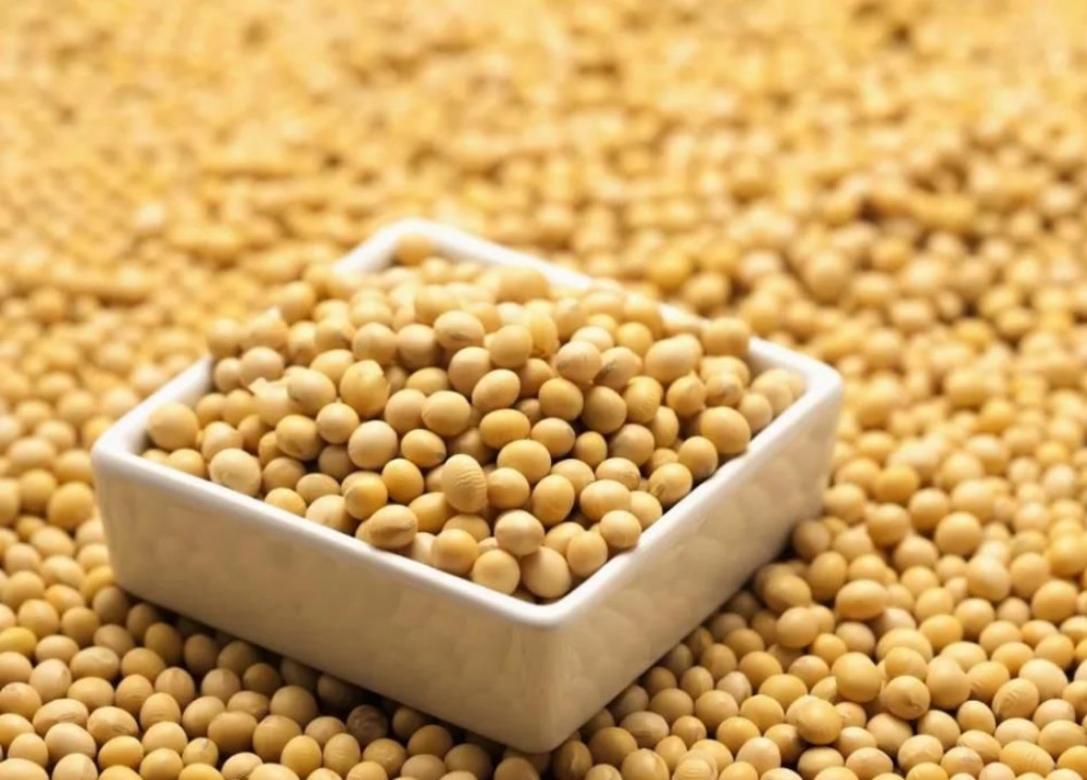 Soya izoflavonlarının faydaları nələrdir?