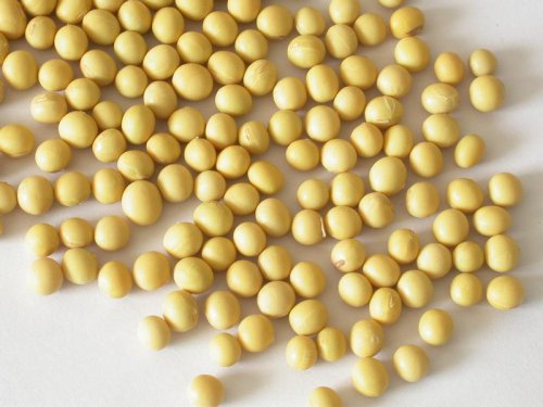 Soya izoflavonlarının funksiyaları və effektləri nələrdir?