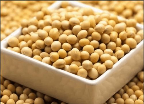 Soya izoflavonlarının faydaları nələrdir?