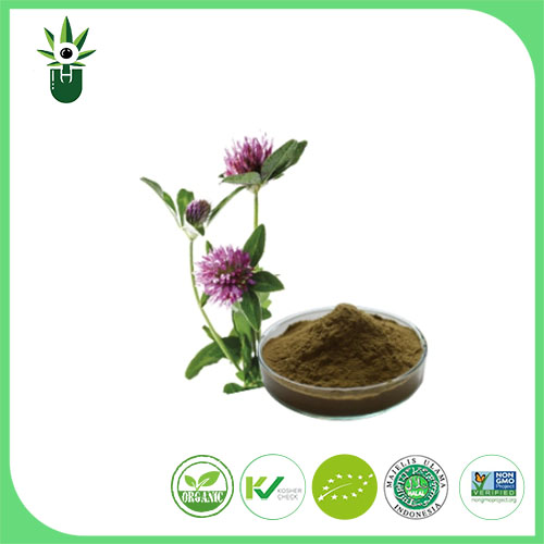 Medicago sativa L ekstraktı