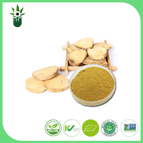 Alisma Plantago-aquatica L ekstraktı