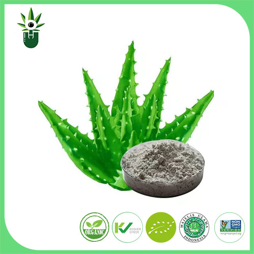 Aloe vera ekstraktı