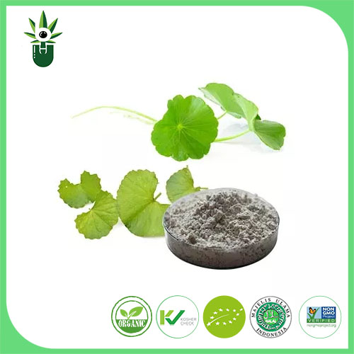 Centella Asiatica ekstraktı