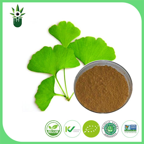 Ginkgo biloba ekstraktı