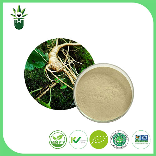 Ginseng ekstraktı