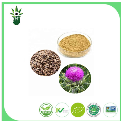Süd Thistle ekstraktı