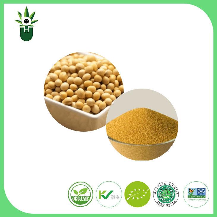 Qeyri-GMO soya çıxarma tozu 90% soya izoflavonları