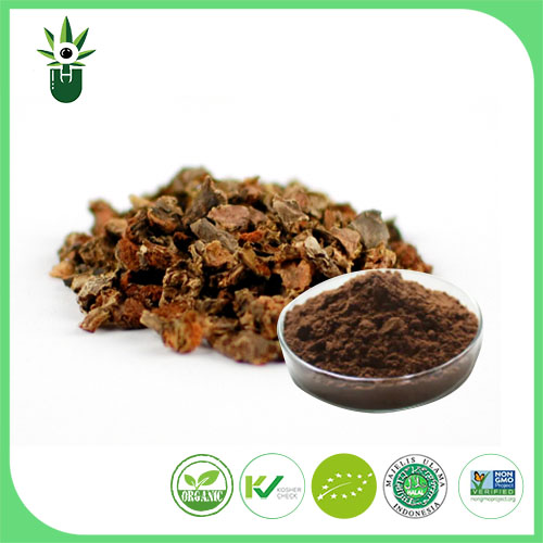 Rhodiola Rosea ekstraktı