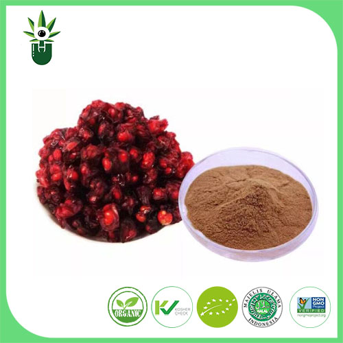 Schisandra Chinensis ekstraktı